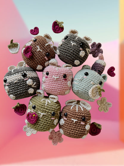 Chubbie Mystère – Petit compagnon à adopter 🧸💕✨
